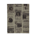 Harry Potter Daily Prophet Velveteen Plush Blanket — Cozy Wizarding Newspaper Throw